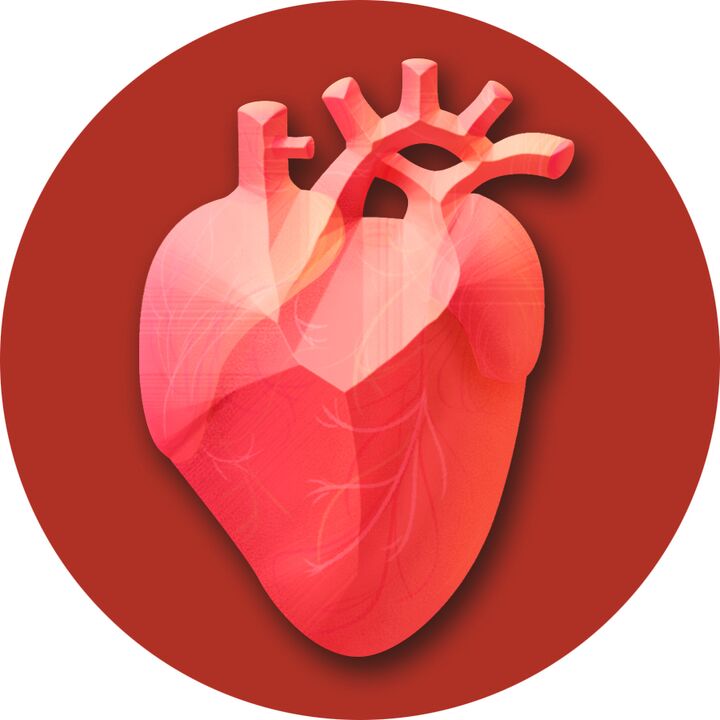 Bluthochdruck belastet das Herz